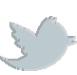 <center><big>Twitter</big></center>